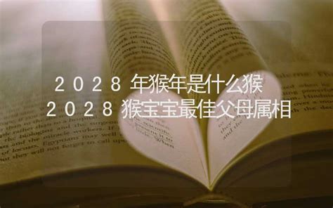 2028是什么年|2028